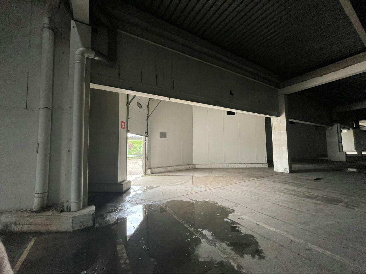 Local d'activité Chasse-sur-Rhône 5190m² Location local d'activité Chasse-sur-Rhône Isère OLACT2421409 3